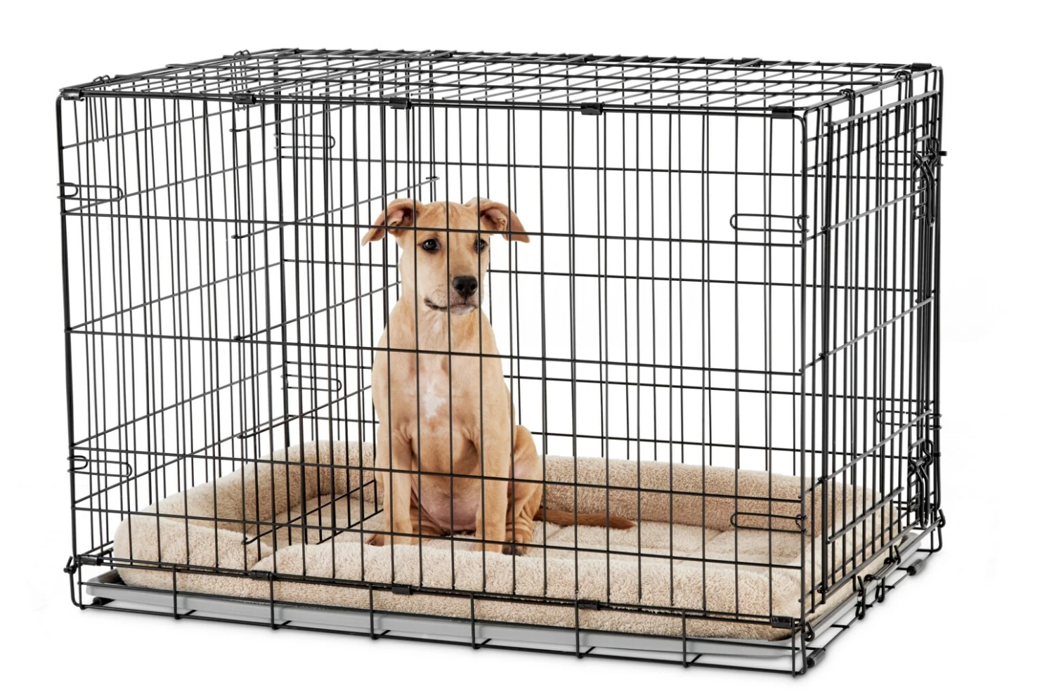 You & Me Crates & Kennels 36-ft L x 22.5-ft W x 24.9-ft H Dog Crate 7 You & Me Crates & Kennels 36-ft L x 22.5-ft W x 24.9-ft H Dog Crate - Image 5