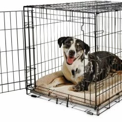 You & Me Crates & Kennels 36-ft L x 22.5-ft W x 24.9-ft H Dog Crate 11 You & Me Crates & Kennels 36-ft L x 22.5-ft W x 24.9-ft H Dog Crate -Animal & Pet Care Online Shop 46428452