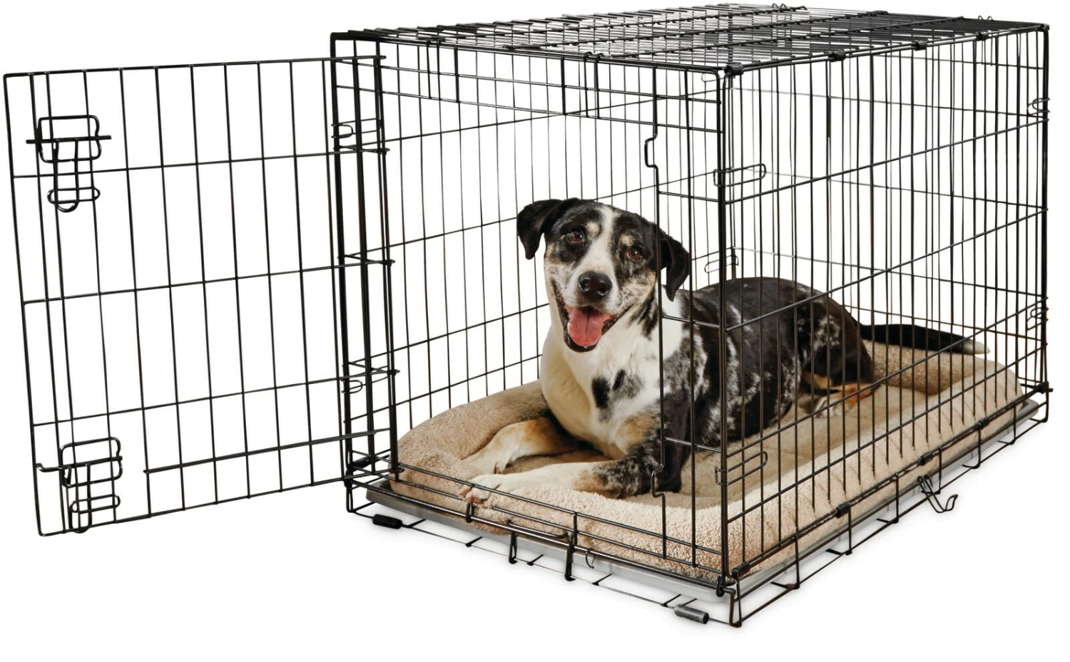You & Me Crates & Kennels 36-ft L x 22.5-ft W x 24.9-ft H Dog Crate 6 You & Me Crates & Kennels 36-ft L x 22.5-ft W x 24.9-ft H Dog Crate - Image 4