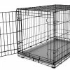 You & Me Crates & Kennels 36-ft L x 22.5-ft W x 24.9-ft H Dog Crate -Animal & Pet Care Online Shop 46429227